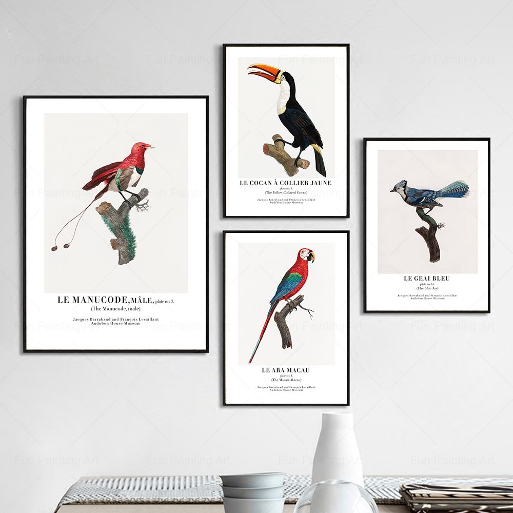 Vintage Paradise Bird Wall Art - Furniture Paradise & Hardware Ghaziabad By Owner บทวิจารณ์และราคา